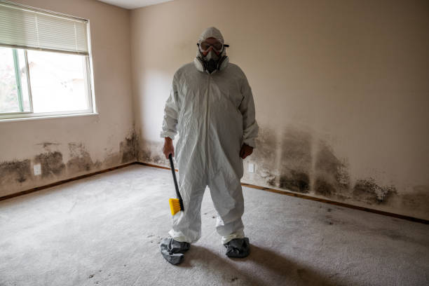 Best Preventive Mold Services in Humboldt, KS